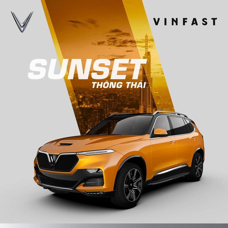 Vinfast liên tục bổ sung nhiều màu đặc sắc cho 'hàng khủng' President - ảnh 4